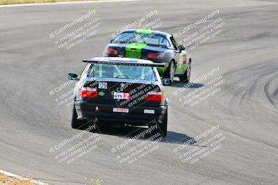 media/May-05-2024-Lucky Dog Racing (Sun) [[8a365fce5b]]/945am-Turn 5/